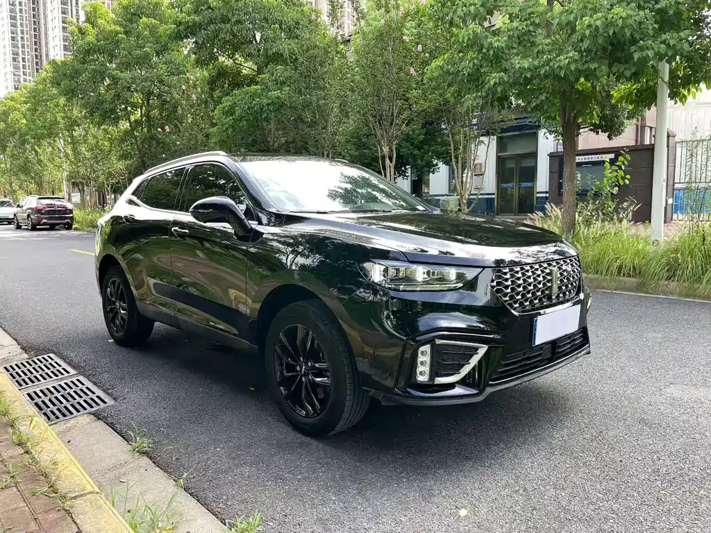 WEY VV5 2020