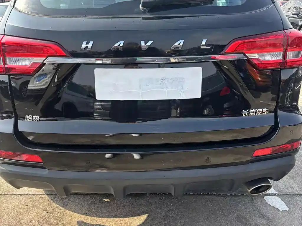 HAVAL M6 2019