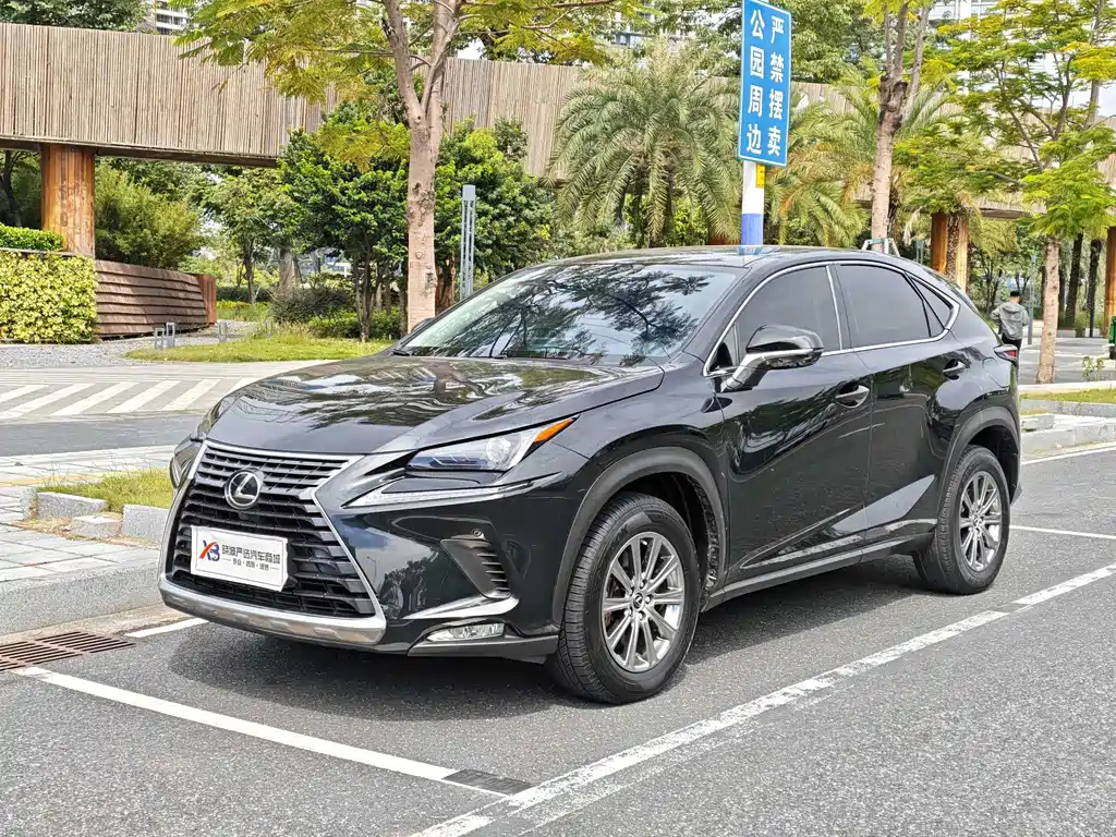 Аукционный лист LEXUS NX 2020