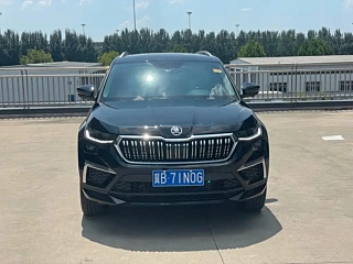 Заказать SKODA KODIAQ