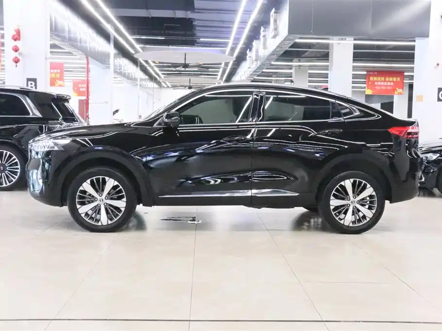 HAVAL F7X 2019