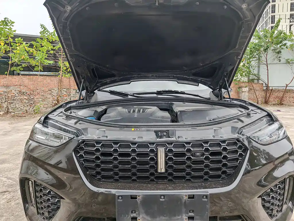 WEY VV7 2017