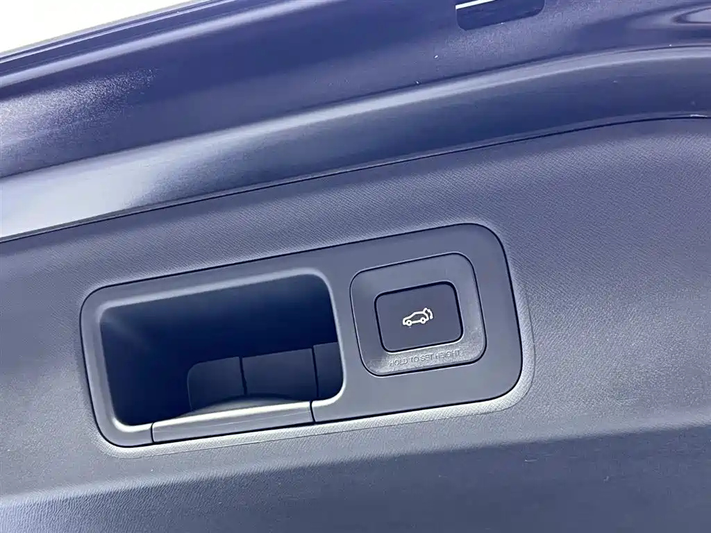 TRUMPCHI E9 2024