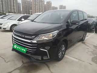 MAXUS OTHER 2021
