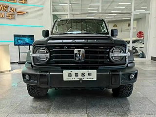 TANK 300  2021