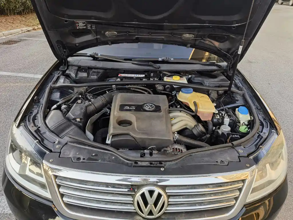 VOLKSWAGEN PASSAT LINGYU 2010