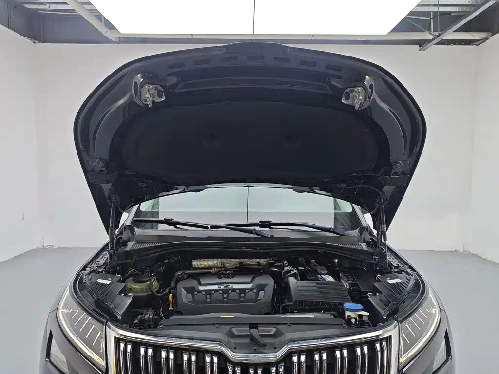 SKODA KODIAQ 2019