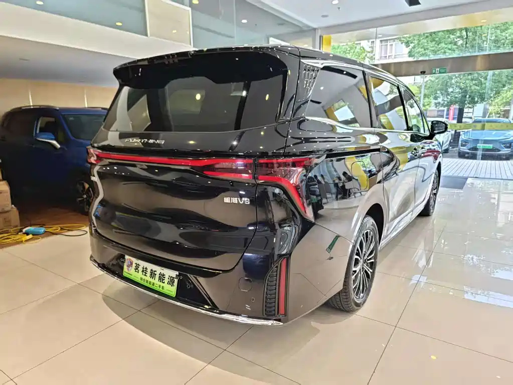 DONGFENG OTHER 2024
