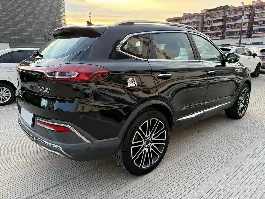 LEOPAARD MATTU 2018