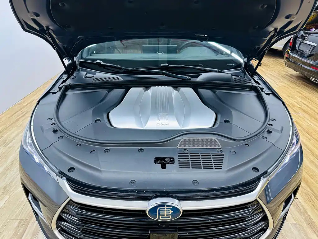 BYD TANG NEW ENERGY 2021