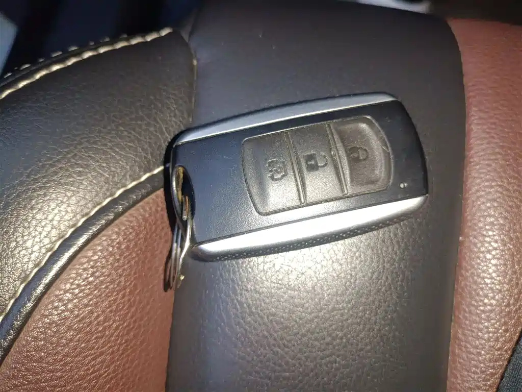 DONGFENG SCENERY 580 2018