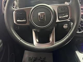 TANK 300  2021 YEAR  EDITION 2.0T CHALLENGER 2021