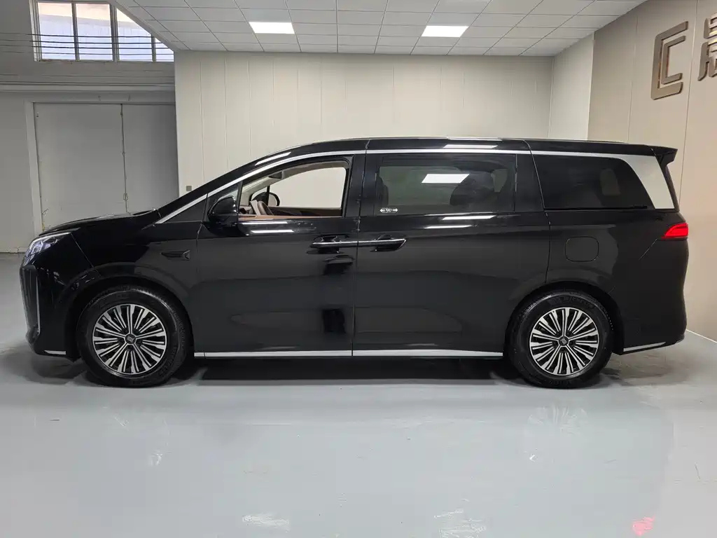 BYD OTHER 2025