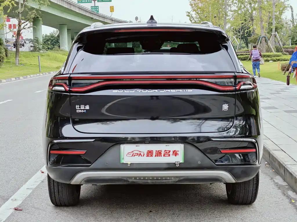 BYD TANG NEW ENERGY 2021