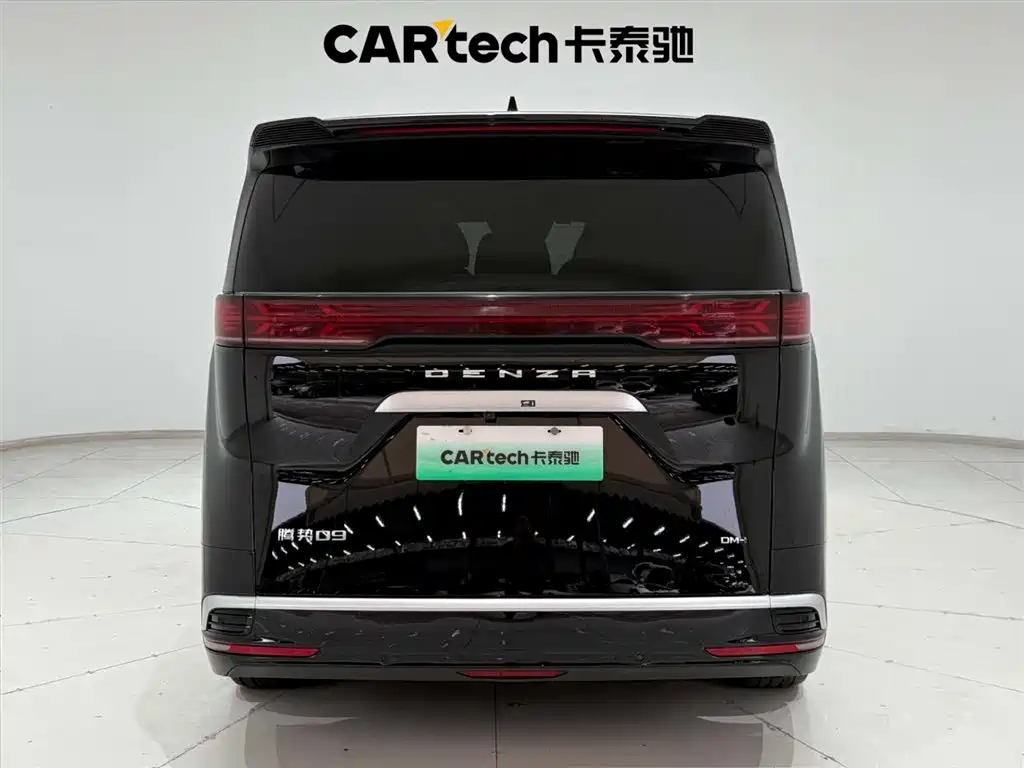 DENZA D9 2024