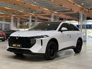 Заказать VENUCIA BIG V