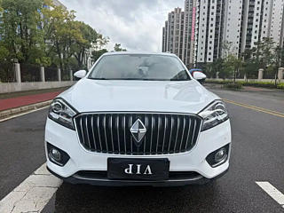 Заказать BORGWARD BX7