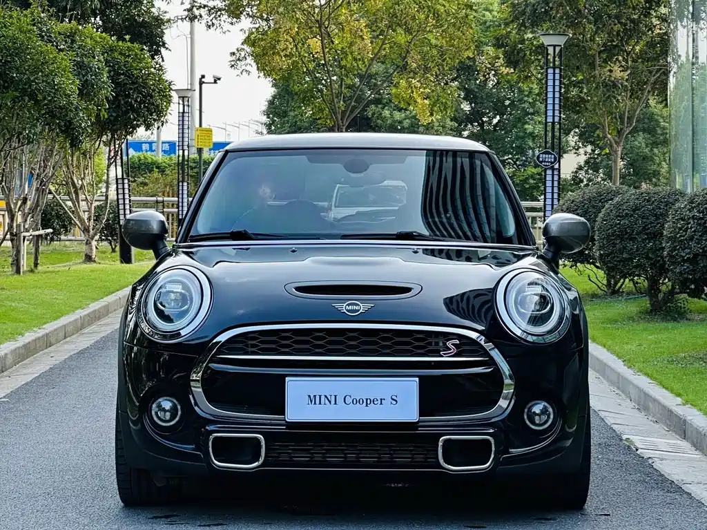 MINI OTHER 2020