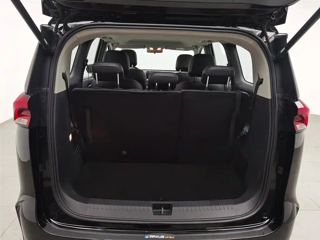 MAXUS OTHER 2020