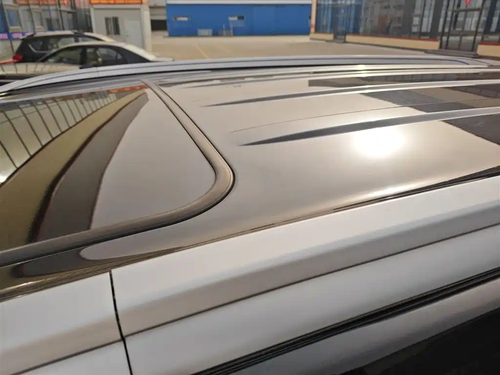 DONGFENG SCENERY 580 2020