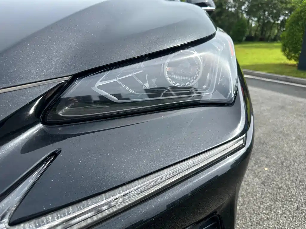 LEXUS NX 2018