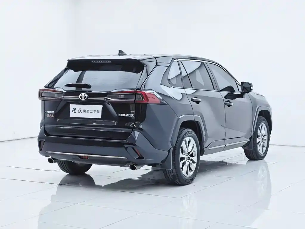 TOYOTA WILDLANDER 2024