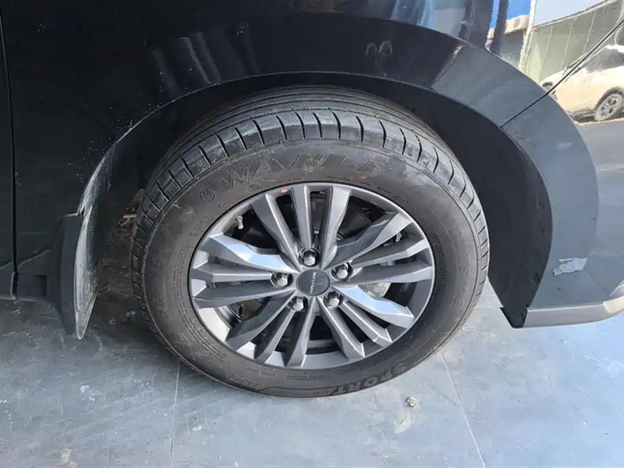 MAXUS OTHER 2024