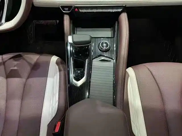 GEELY AUTO MONJARO 2021