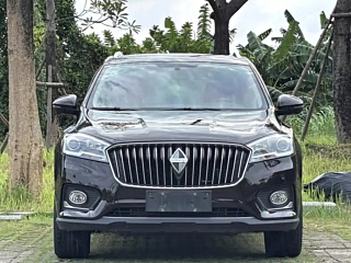 Заказать BORGWARD BX7