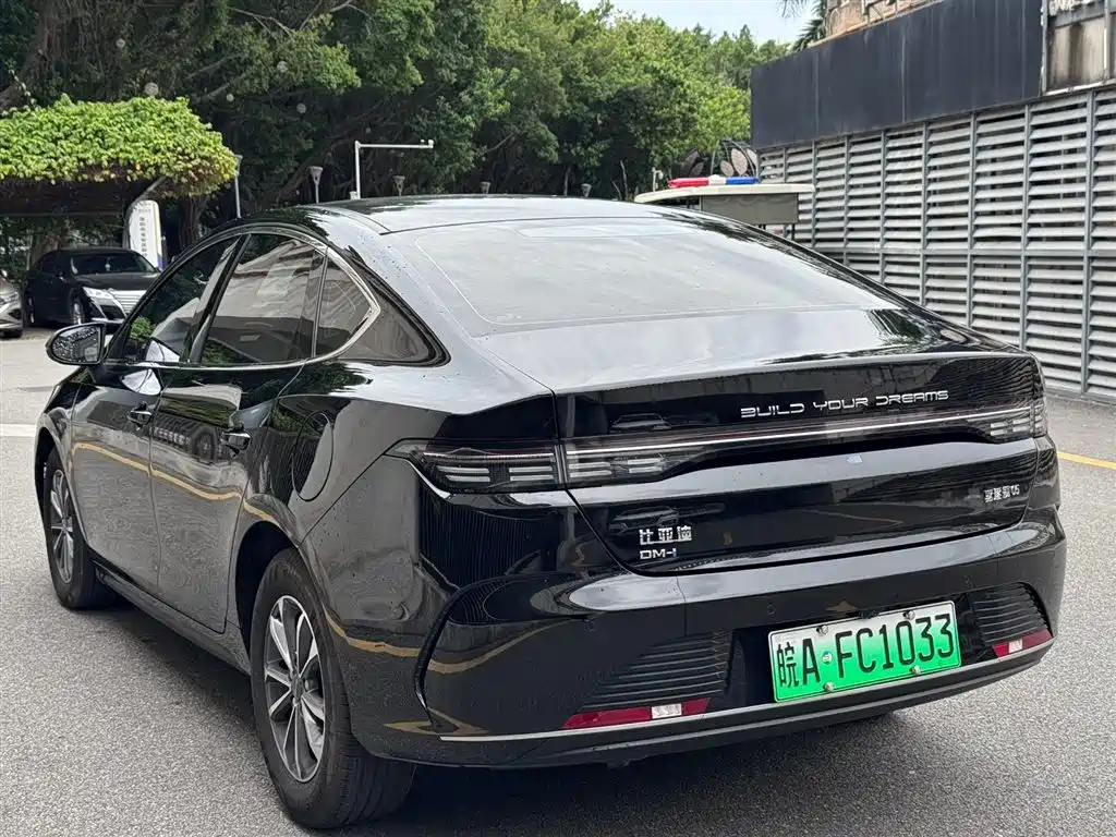 BYD DESTROYER 05 2024