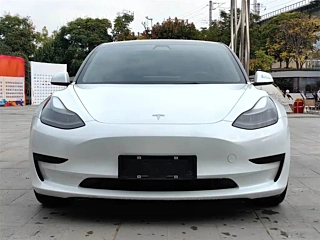 TESLA MODEL 3  2021