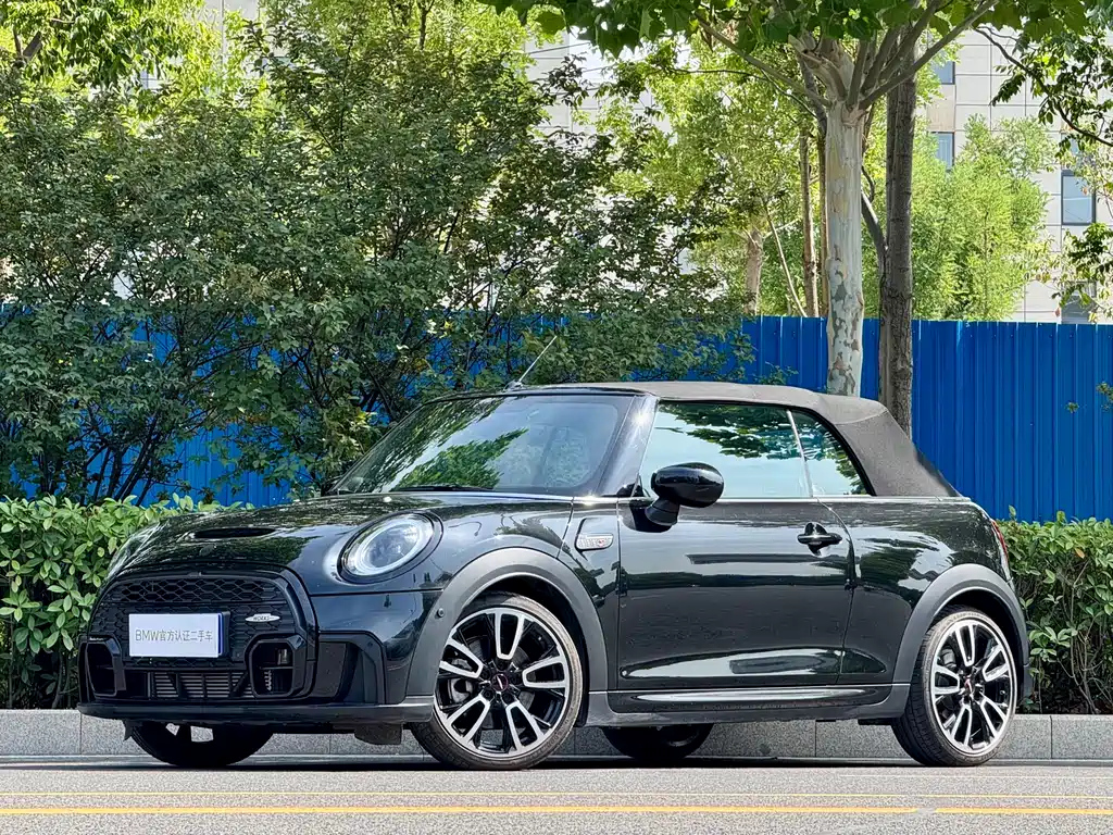 MINI OTHER 2023