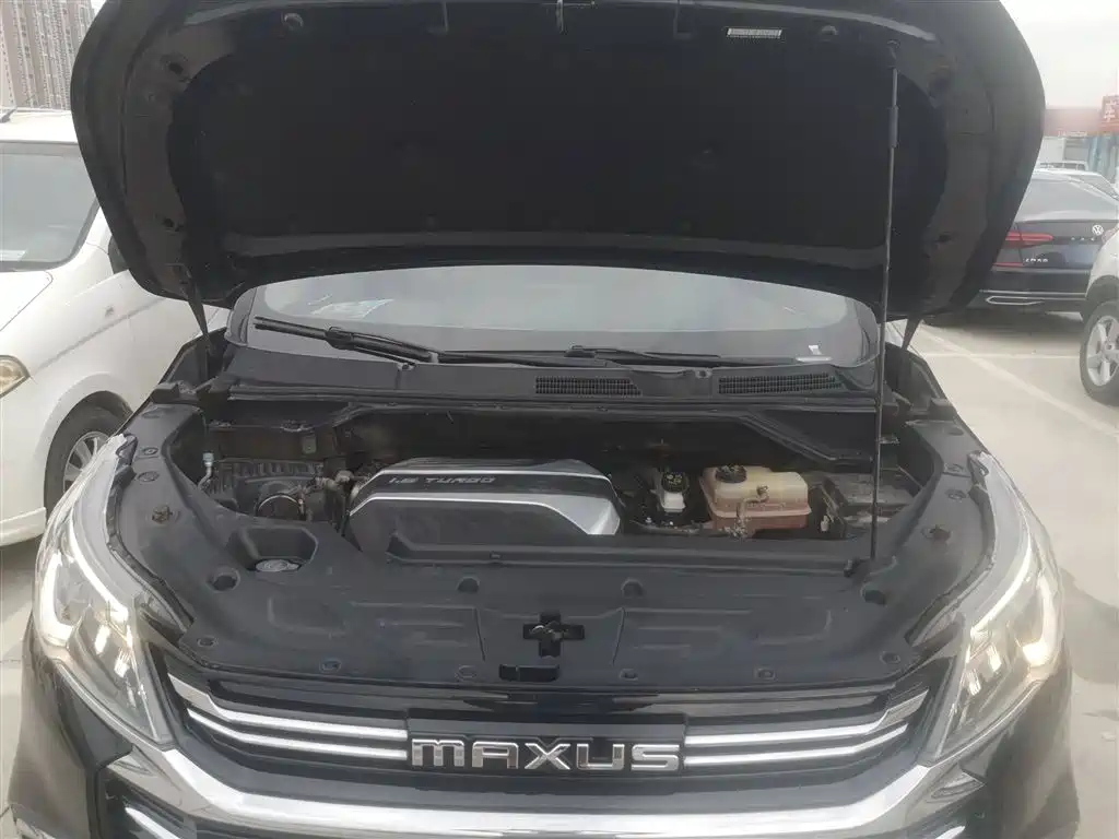 MAXUS OTHER 2021