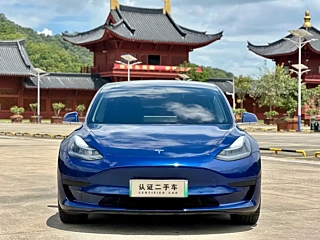 TESLA MODEL 3  2020