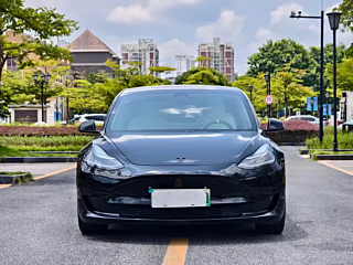 TESLA MODEL 3  2020