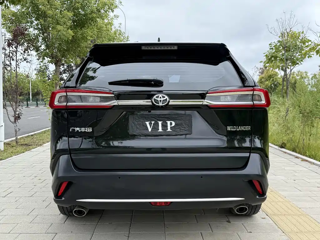 TOYOTA WILDLANDER 2022