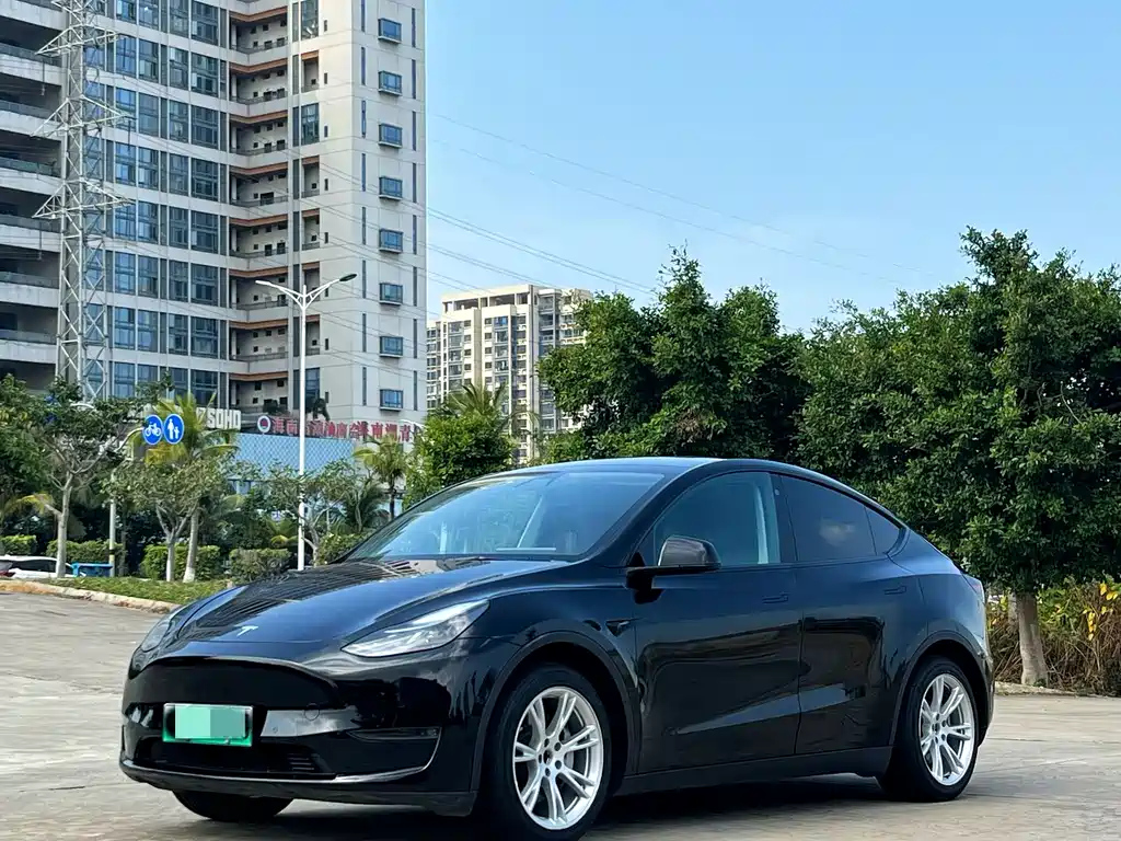 TESLA MODEL Y 2021