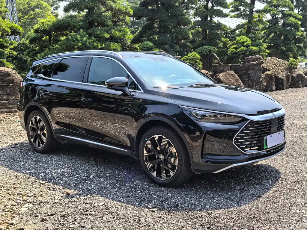 BYD TANG NEW ENERGY 2024