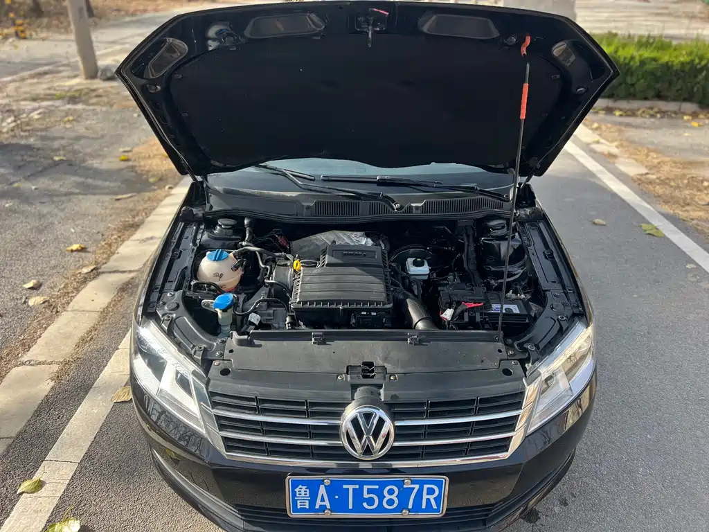 VOLKSWAGEN LAVIDA 2013