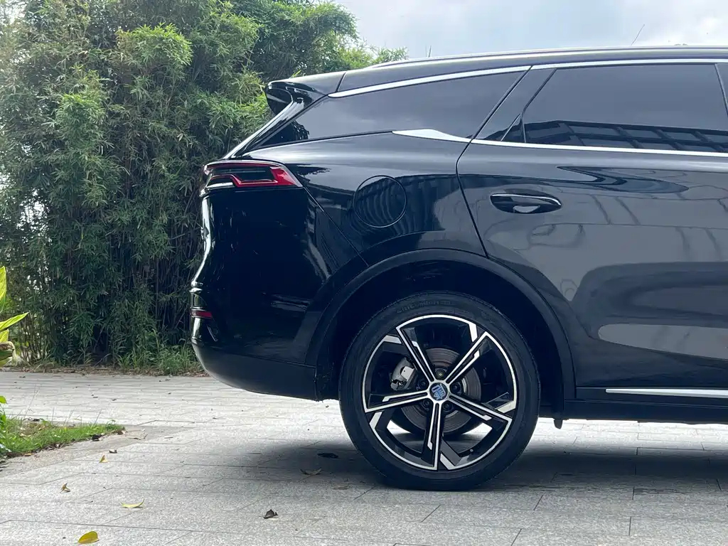 BYD TANG NEW ENERGY 2021