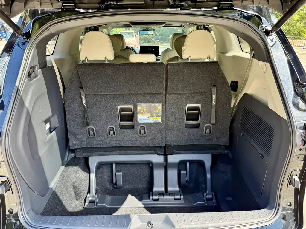 TOYOTA SIENNA SIENNA 2024