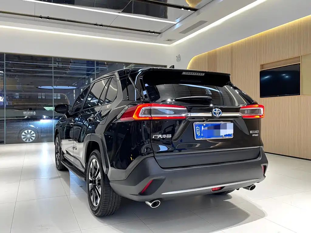 TOYOTA WILDLANDER 2020