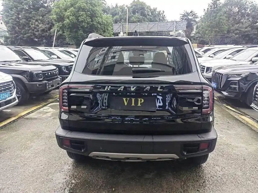 HAVAL BIG DOG 2021