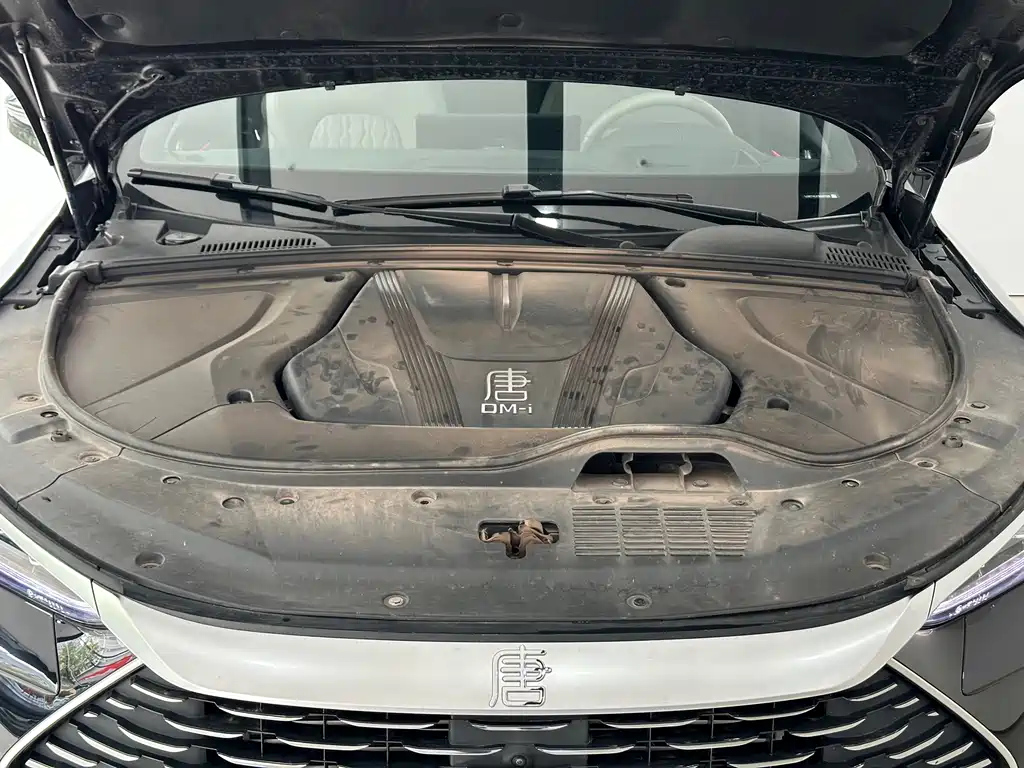 BYD TANG NEW ENERGY 2024