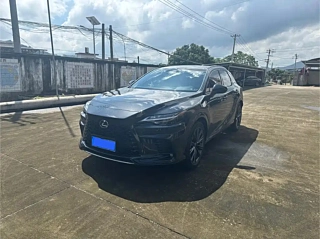 Заказать LEXUS RX