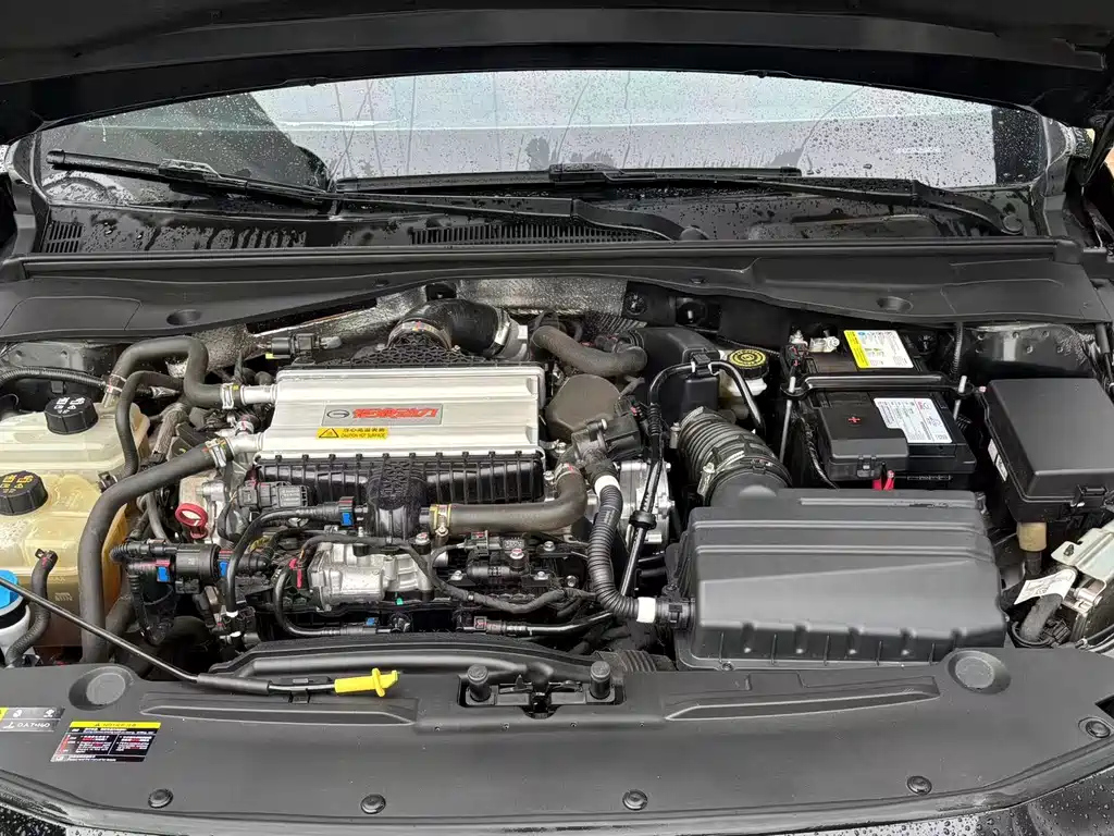 TRUMPCHI EMPOW 2023