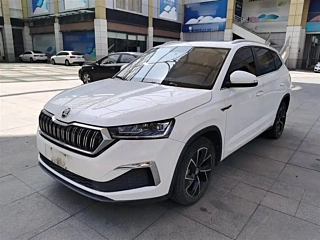 SKODA &#26607;&#31859;&#20811;  2020