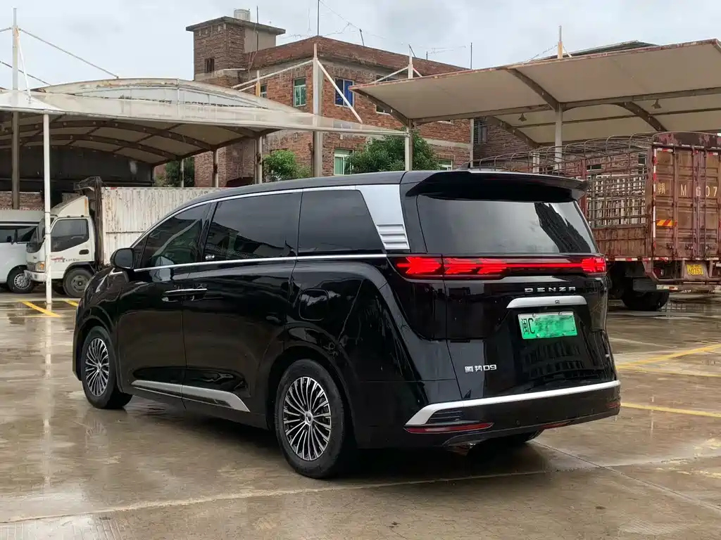 DENZA D9 2025