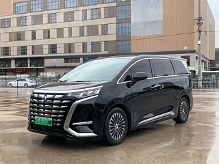 Заказать DENZA D9