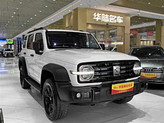 TANK 300 2021 YEAR EDITION 2.0T 2021